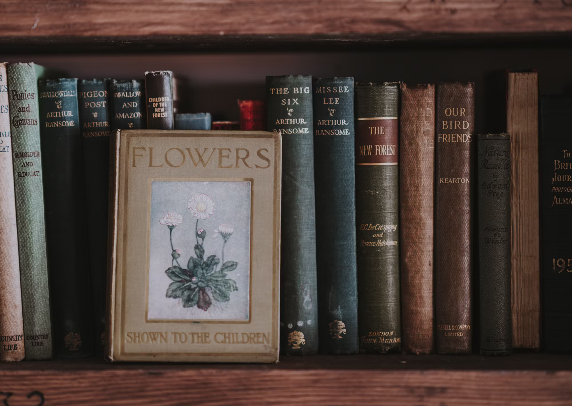 Die Vorteile des Lernens im Freien: Bildung mit der Natur verbinden